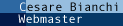 Cesare Bianchi Webmaster